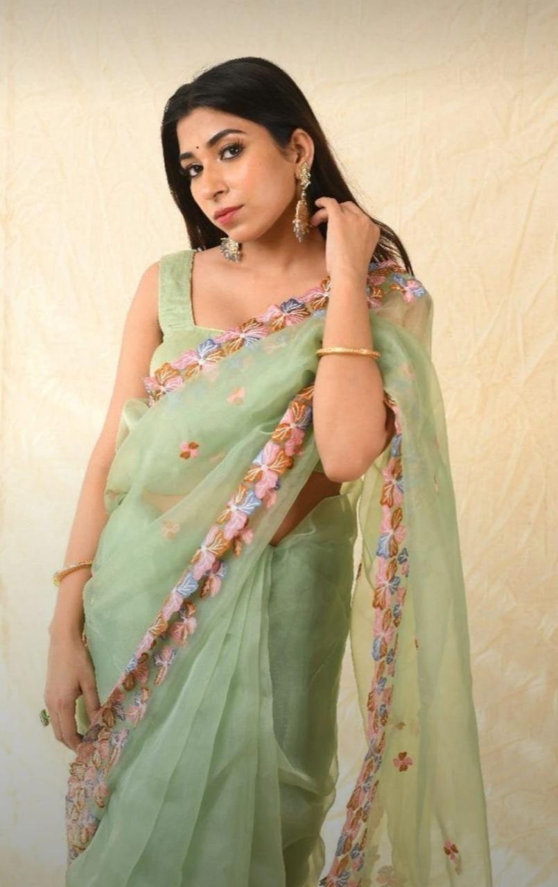 Light Green Organza Pure Silk Embroidered Saree